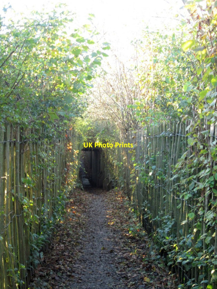 Photo 6"x4" Footpath through the campsite Keswick\/NY2623 c2012