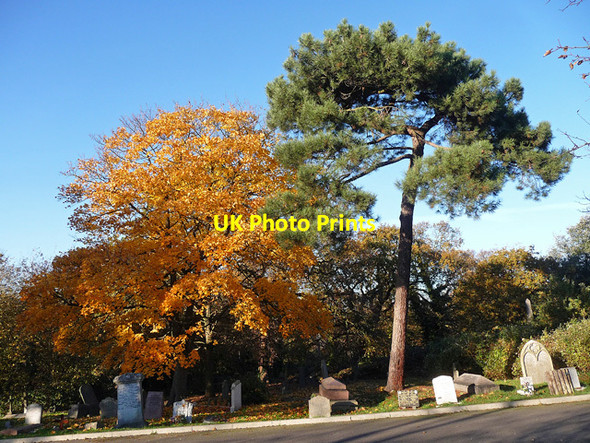 Photo 6"x4" Various monuments, West Norwood Cemetery (25) Streatham c2012