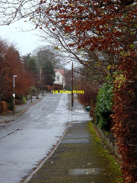 Photo 6"x4" Gilleyfield Avenue, Dore Dore\/SK3181 c2012