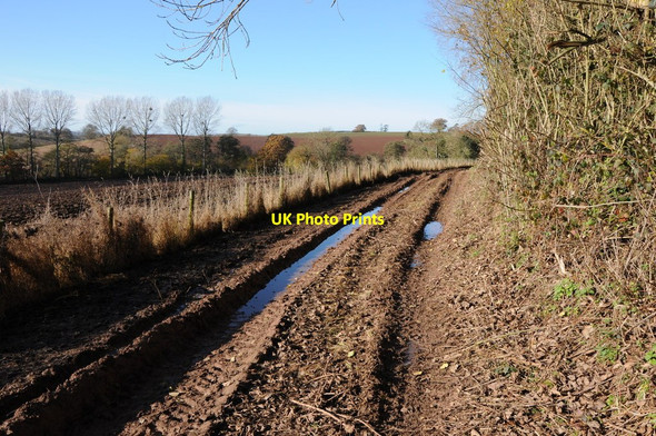 Photo 6"x4" Muddy track Docklow c2012