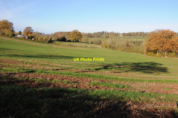 Photo 6"x4" Arable field above Holly Brook Risbury\/SO5555 c2012