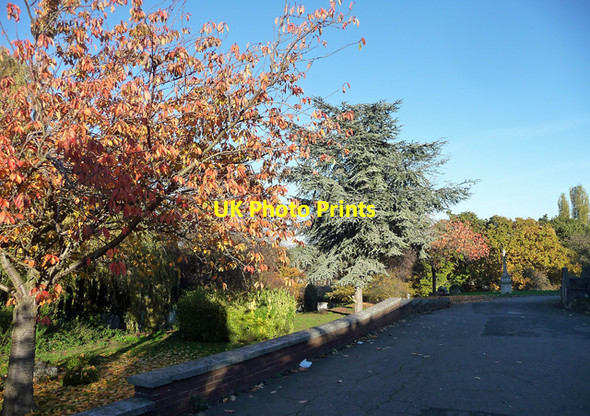 Photo 6"x4" Autumn colours, West Norwood Cemetery Streatham c2012