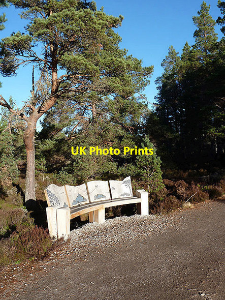 Photo 6"x4" A bench seat at Loch Garten RSPB Reserve Tulloch\/NH9816 c2012