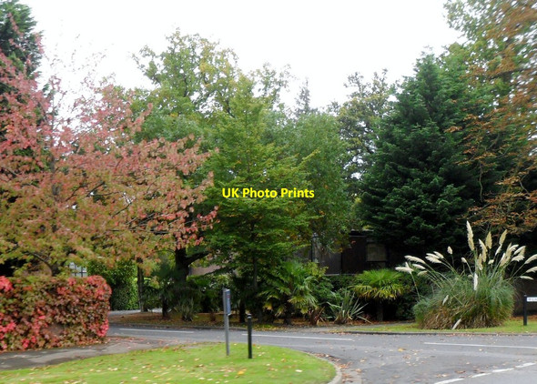 Photo 6"x4" Lakeside Drive, Esher Esher c2012