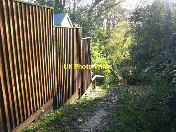 Photo 6"x4" Footpath to the River Waveney, Dunburgh Beccles c2012