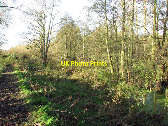 Photo 6"x4" Path from Beccles to Dunburgh Beccles c2012