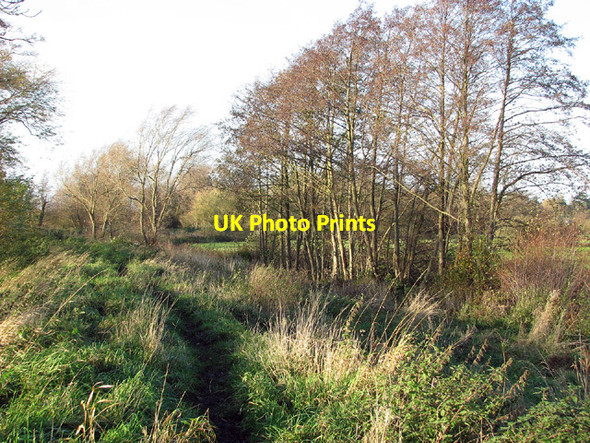 Photo 6"x4" Footpath from Beccles to Dunburgh Beccles c2012