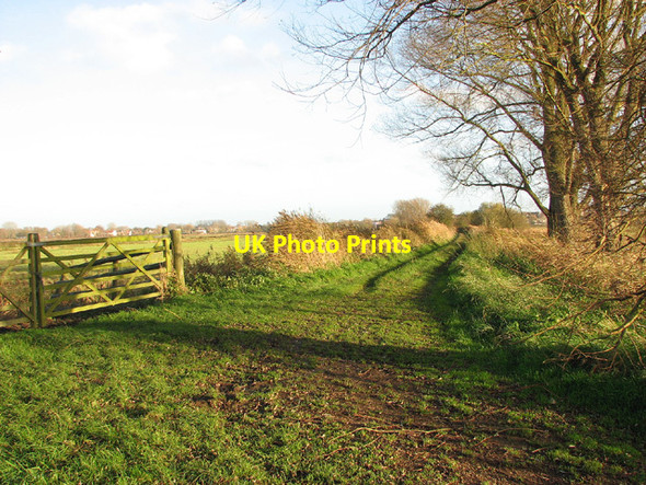 Photo 6"x4" Farm track through marsh pastures west of Beccles Beccles c2012