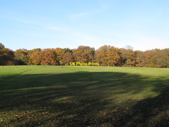 Photo 6"x4" Eltham Park North Eltham c2012