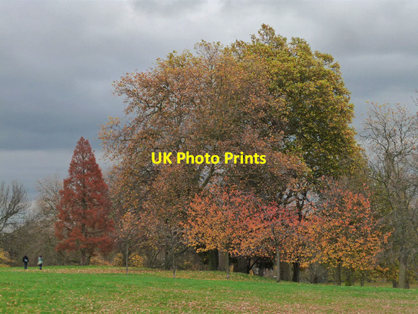 Photo 6"x4" Brockwell Park (9) Brixton\/TQ3175 c2012
