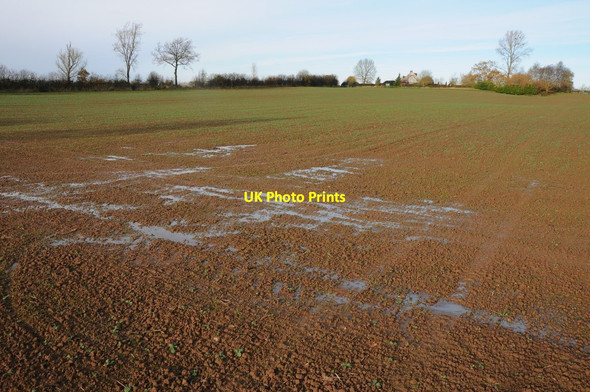 Photo 6"x4" Wet arable field Marston Stannett c2012