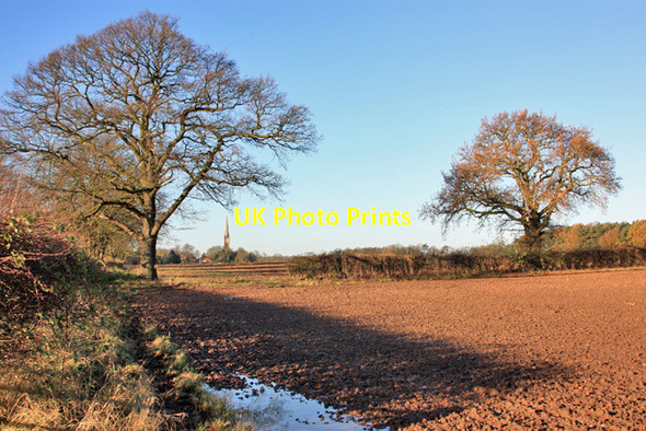 Photo 6"x4" Farmland east of South Dalton South Dalton c2012