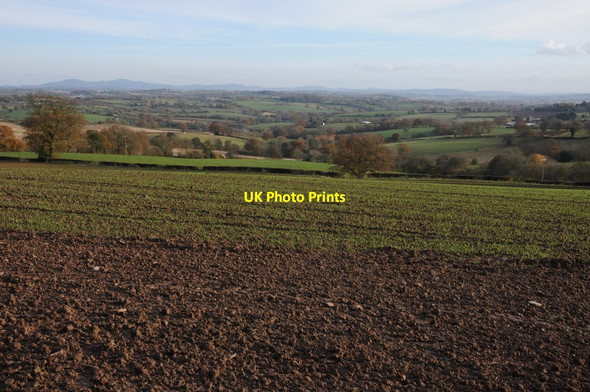 Photo 6"x4" View from near Little Hegdon Grendon Bishop c2012