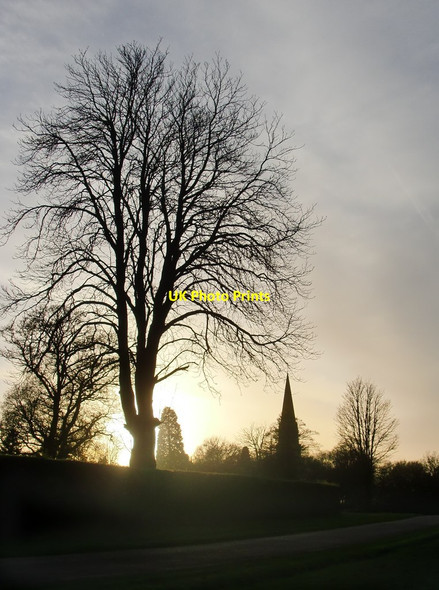 Photo 6"x4" Sundown at Ranmore, November Dorking c2012
