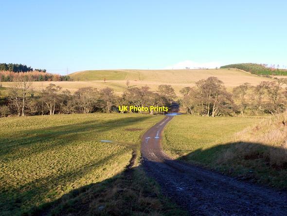 Photo 6"x4" Track from Ilderton to South Middleton Ilderton c2012