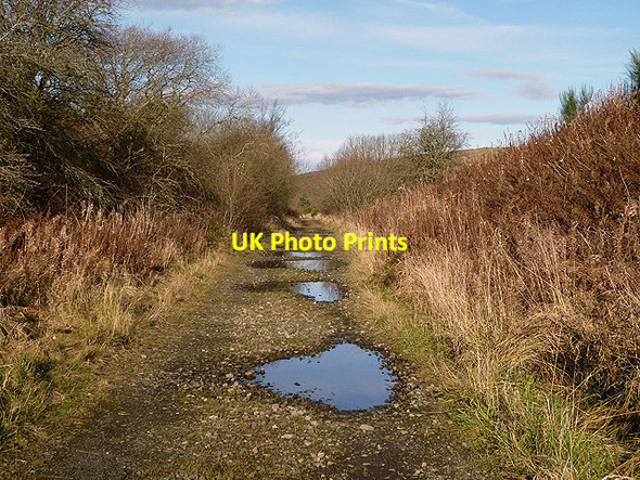 Photo 6"x4" The trackbed of the former Waverley Line at Falahill Falahill c2012