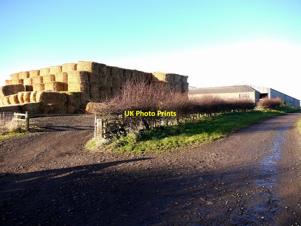 Photo 6"x4" Farm buildings north of Ilderton Ilderton c2012