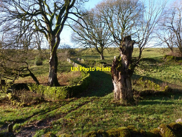 Photo 6"x4" Walled path at Dalehead Wheston c2012