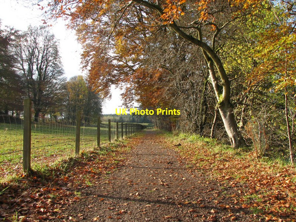 Photo 6"x4" River Devon path Powmill\/NT0298 c2012