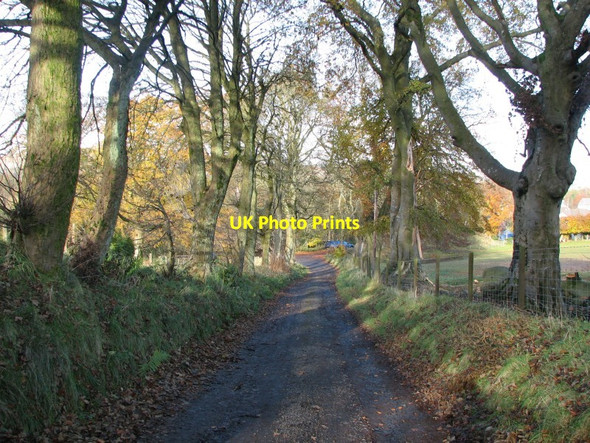 Photo 6"x4" Farm track Powmill\/NT0298 c2012