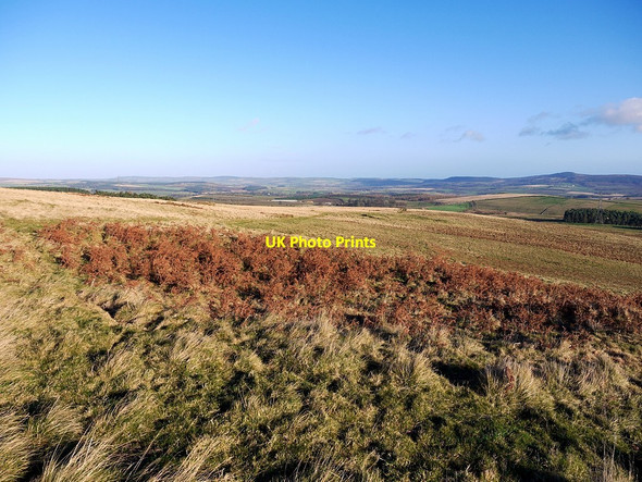 Photo 6"x4" Settlement site east of Heddon Hill Ilderton c2012