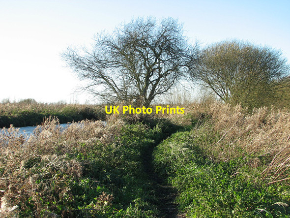 Photo 6"x4" Path along Geldeston Dyke Geldeston c2012