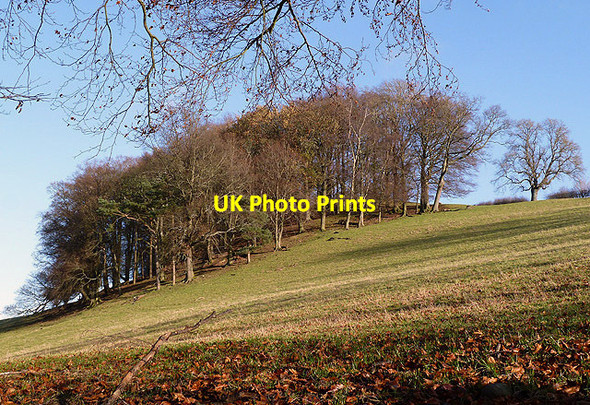 Photo 6"x4" A sloping grazing field at Selkirk Selkirk c2012
