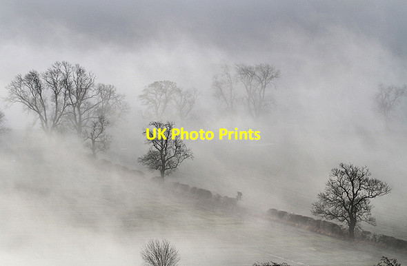 Photo 6"x4" November mists at Brotherstone Bemersyde c2012