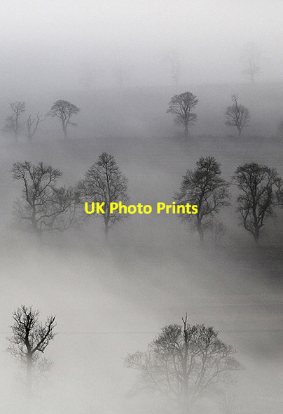 Photo 6"x4" Mist and trees at Brotherstone East Third\/NT6436 c2012