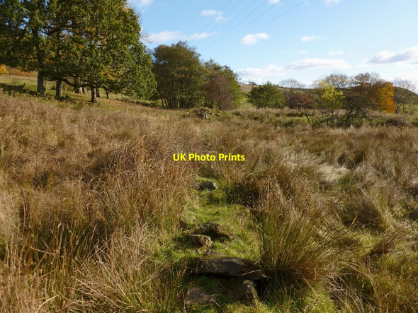 Photo 6"x4" Old dry-stone wall Dumbarton c2012