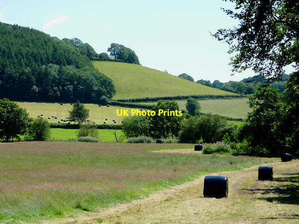 Photo 6"x4" Farmland south-west of Bwlch-Llan, Ceredigion Bwlch-Llan c2012