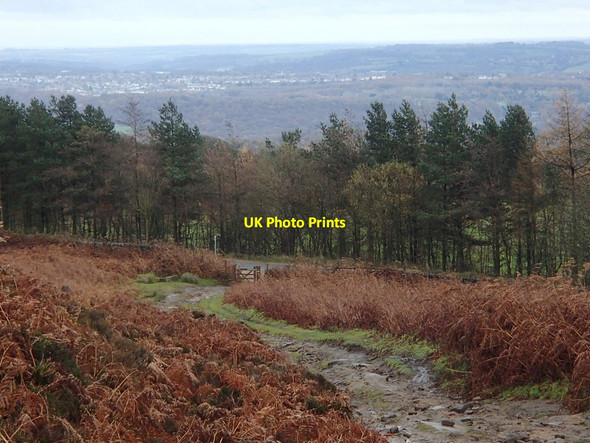 Photo 6"x4" Track above Sheephill Road Ringinglow c2012