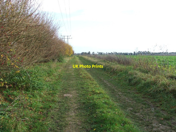 Photo 6"x4" Footpath And Hedge Herringswell c2012