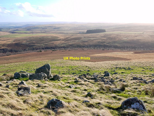 Photo 6"x4" South slope of Dod Hill Ilderton c2012