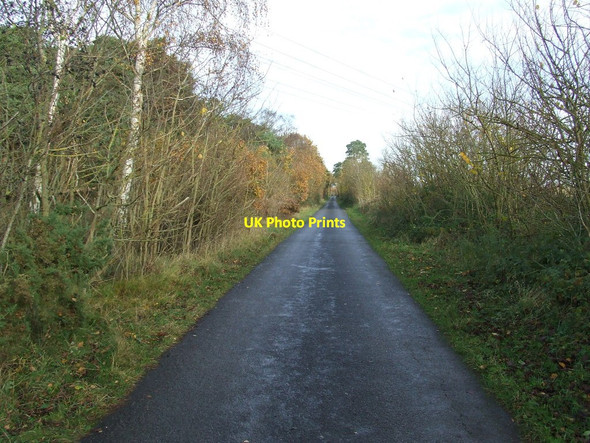 Photo 6"x4" Long Straight Road Icklingham c2012