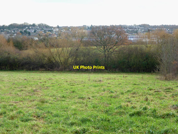 Photo 6"x4" Sweyne Park Rayleigh c2012