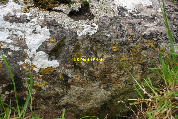 Photo 6"x4" Benchmark on stone in wall on W side of Morpeth Gate West Burton\/SE0186 c2012
