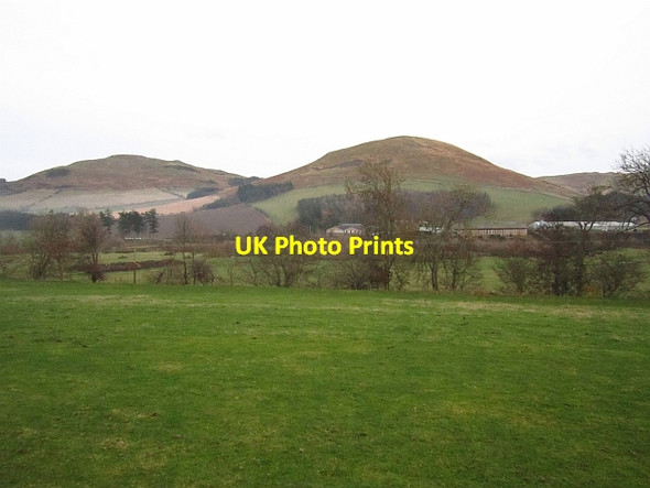 Photo 6"x4" Field near Primsidemill Town Yetholm c2012
