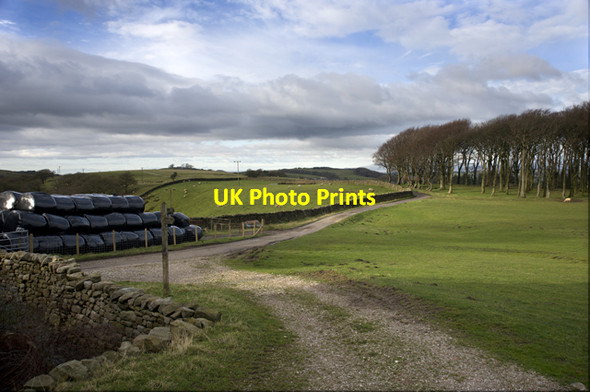 Photo 6"x4" Farm Road at Field Head Crossgill\/SD5562 c2012