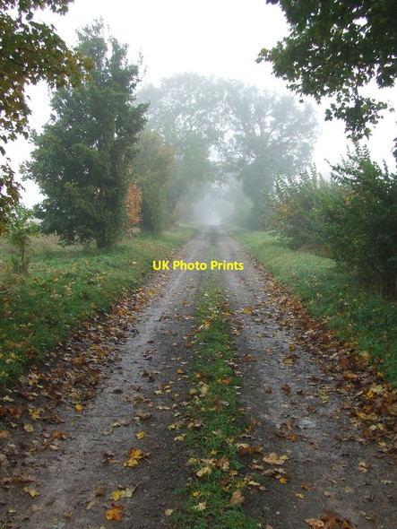 Photo 6"x4" Cadenham Road Swaffham Prior c2012
