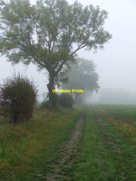 Photo 6"x4" Cadenham Road Swaffham Bulbeck c2012