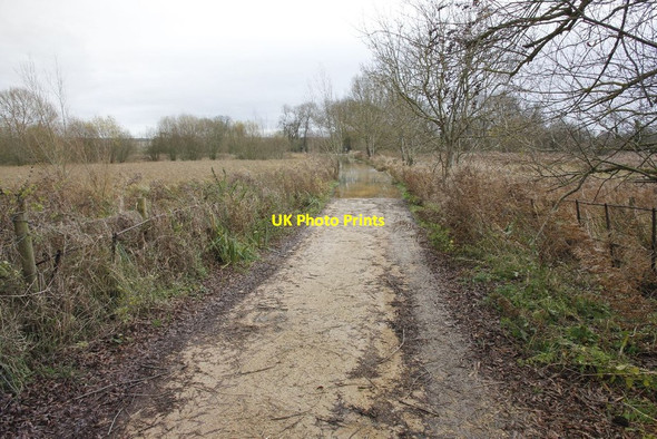 Photo 6"x4" Ferry Lane flooded North Stoke\/SU6186 c2012