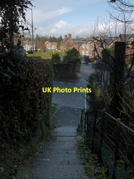 Photo 6"x4" Path to Overton Road Alexandria c2012