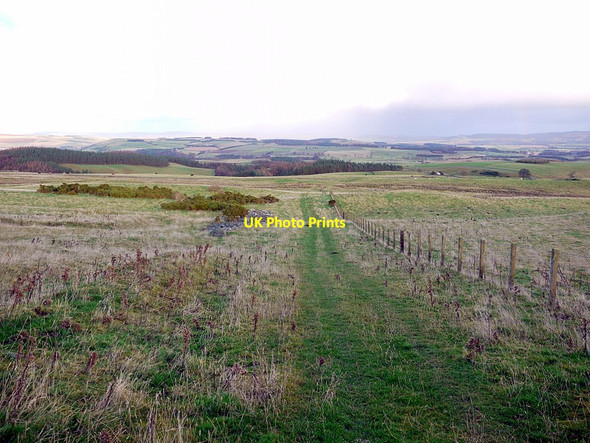 Photo 6"x4" Path leading to Old Middleton South Middleton c2012