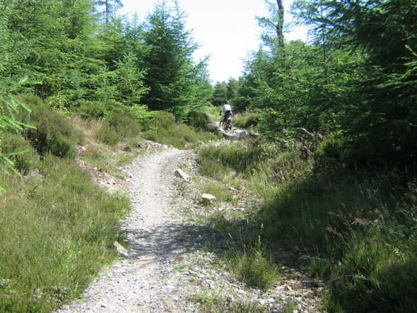 Photo 6"x4" Mabie Forest - Cycle Trail Woodhead\/NX9171 c2008 P1