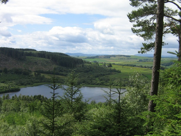 Photo 6"x4" Lochaber Loch, Mabie Forest Woodhead\/NX9171 c2008