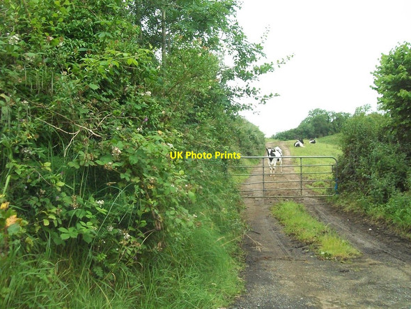 Photo 6"x4" Private farm lane off the Boho road Enniskillen c2012