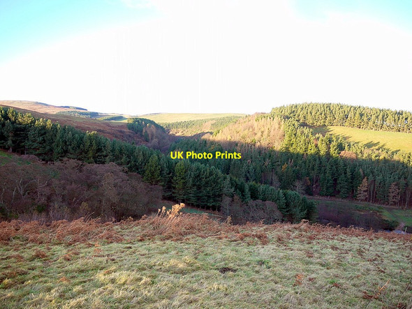 Photo 6"x4" Valley of Coldgate Water Middleton Hall\/NT9825 c2012