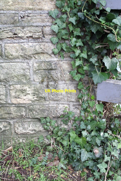 Photo 6"x4" Benchmark on the SE parapet of Godstow Bridge Wolvercote c2012