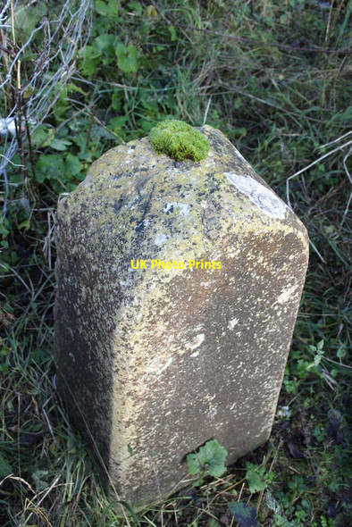 Photo 6"x4" Benchmarked boundary stone beside Godstow Road Wolvercote c2012